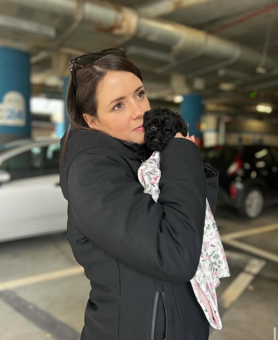 Emerald Poodle family