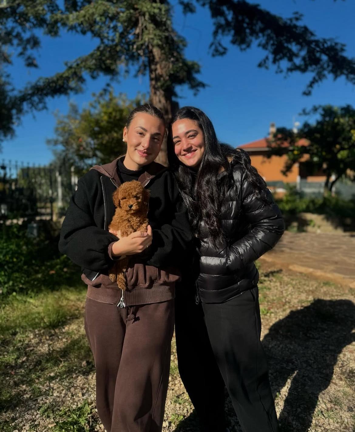 Emerald Poodle family