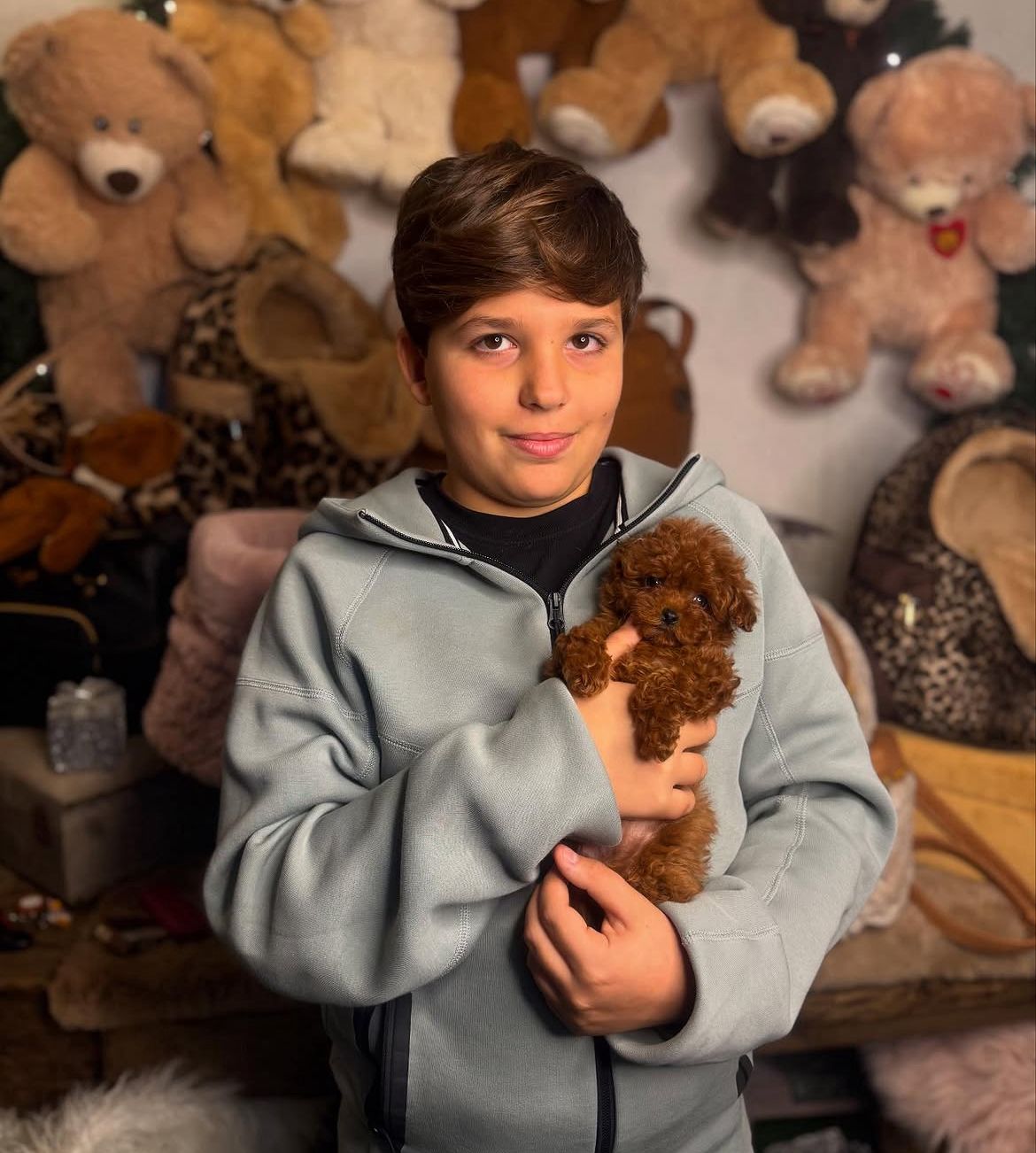 Emerald Poodle family