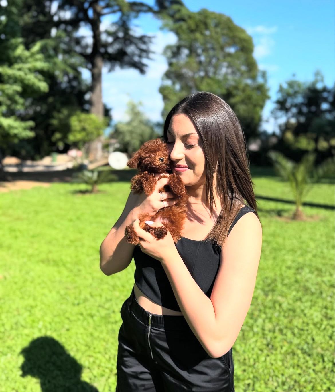 Emerald Poodle family