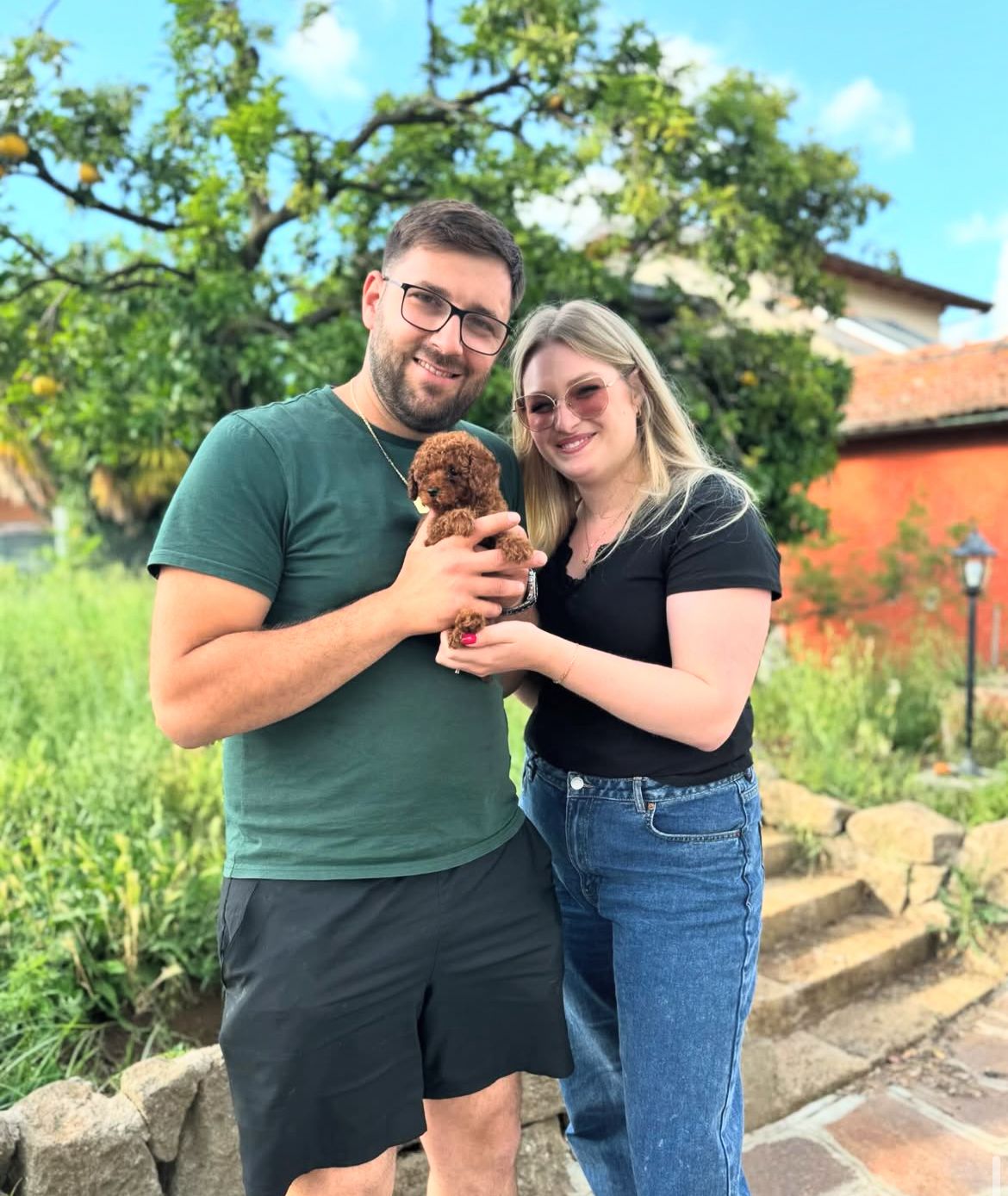 Emerald Poodle family