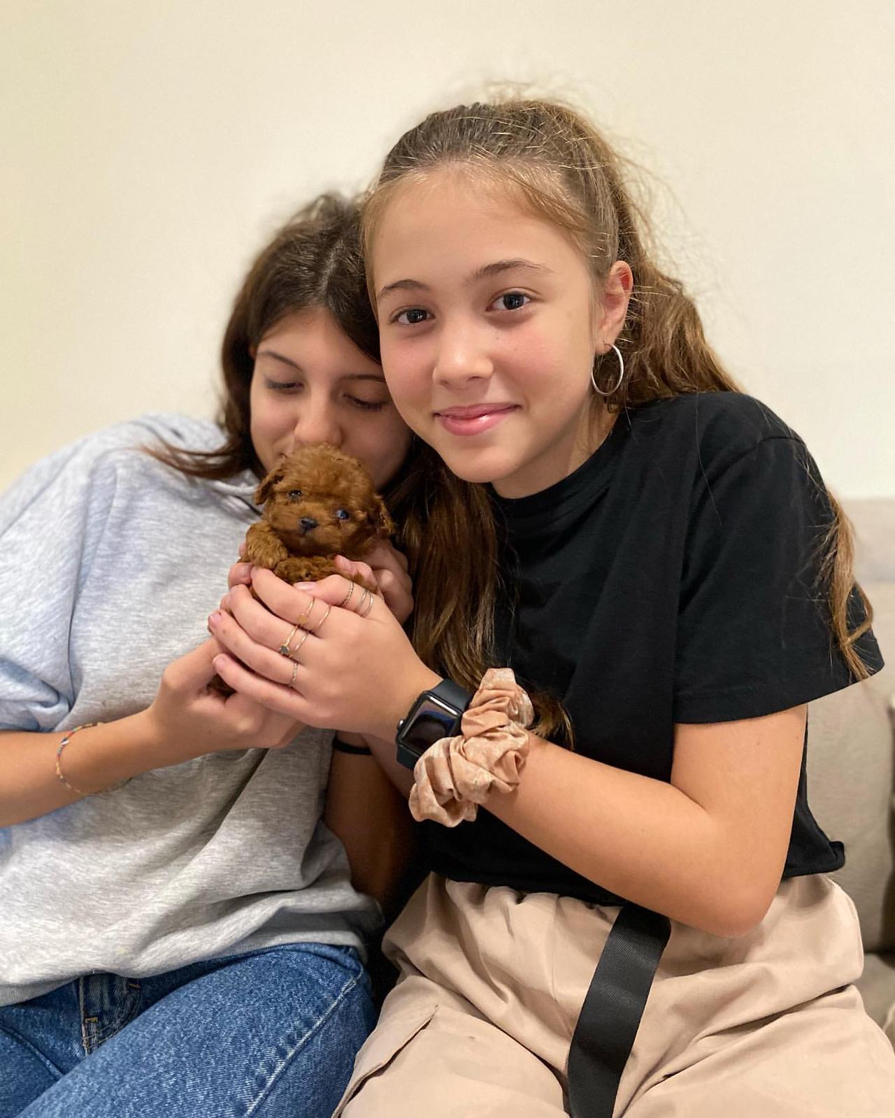 Emerald Poodle family