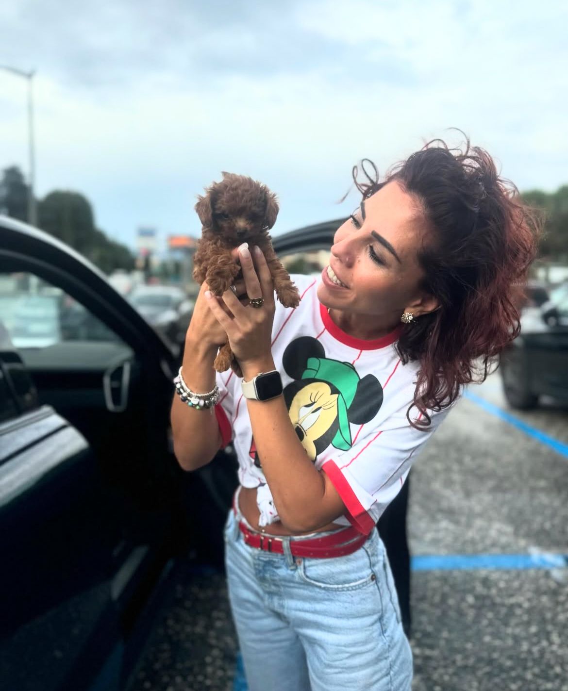 Emerald Poodle family