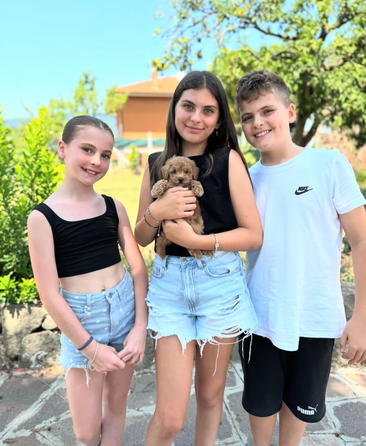 Emerald Poodle family