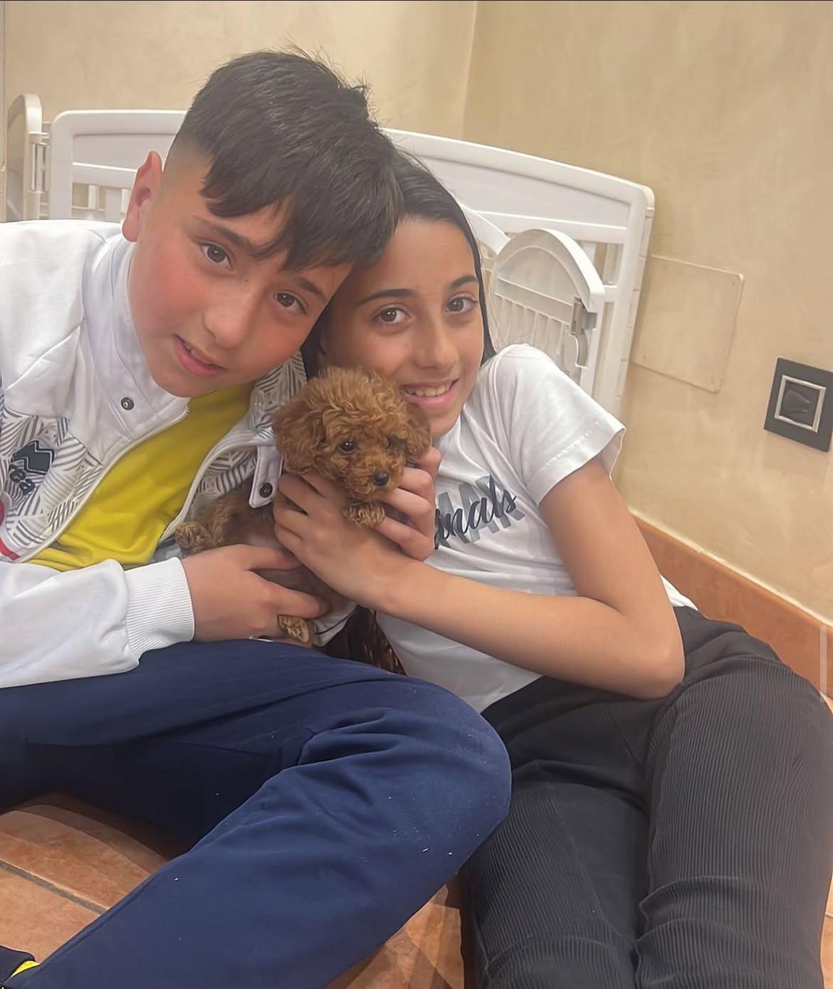 Emerald Poodle family