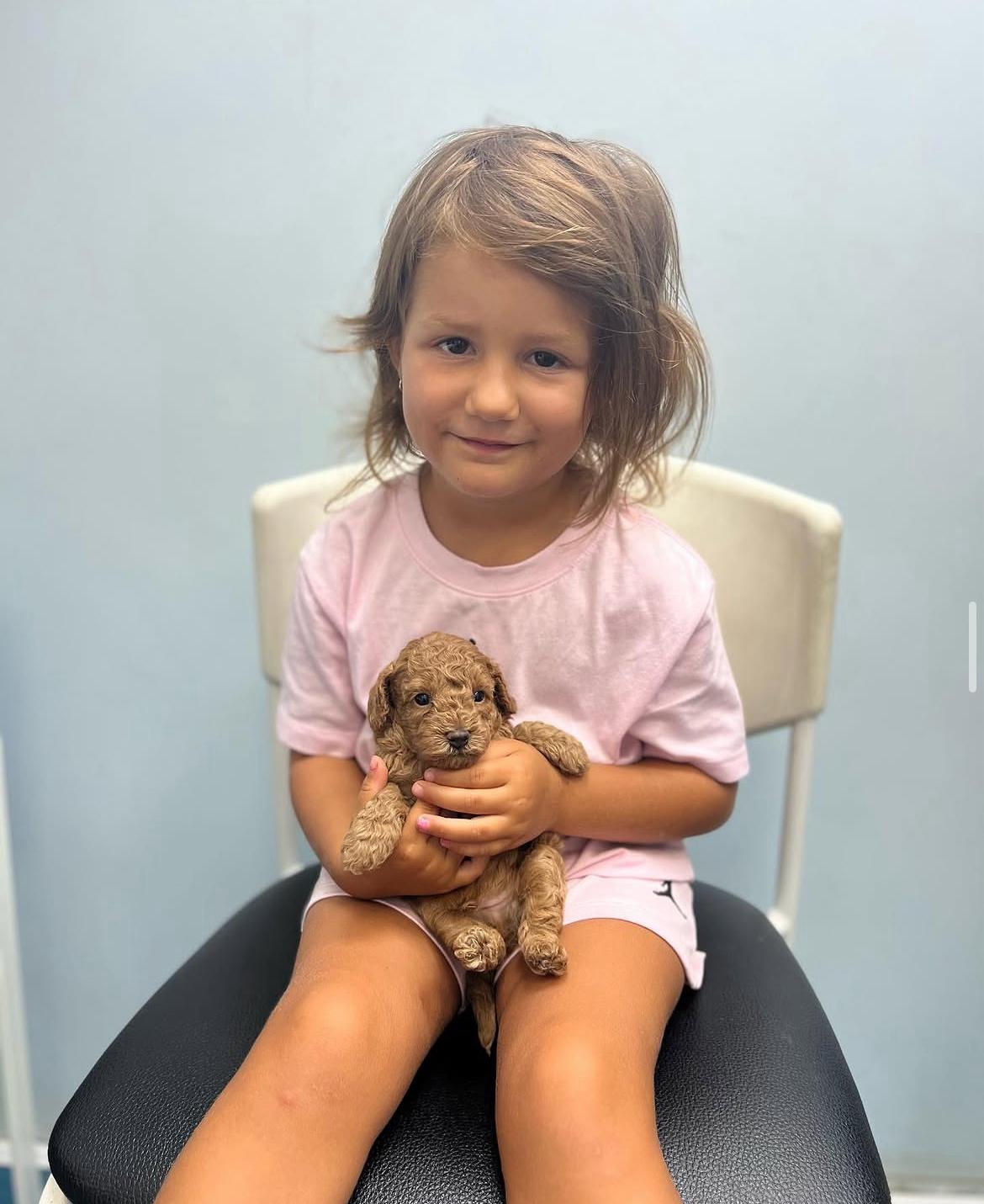 Emerald Poodle family